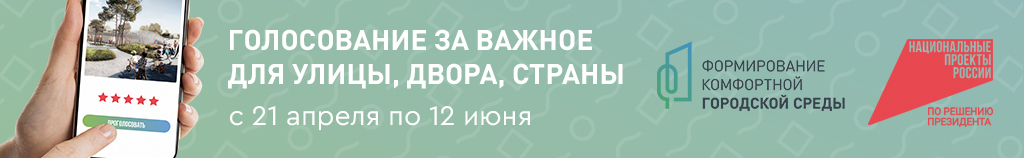 Голосование за важное для улицы, двора, страны